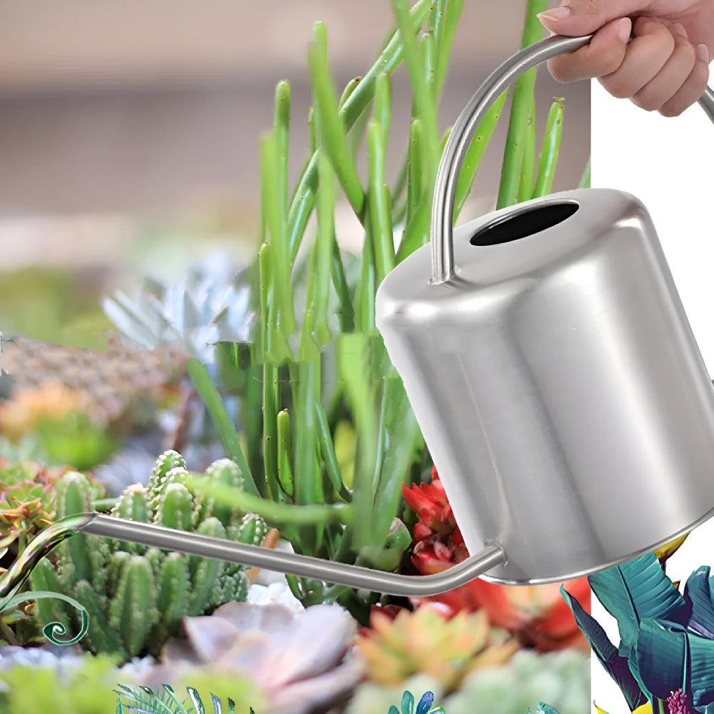 Stainless steel watering can with long spout, 2 litre capacity, shown in black, gold, and steel finishes.