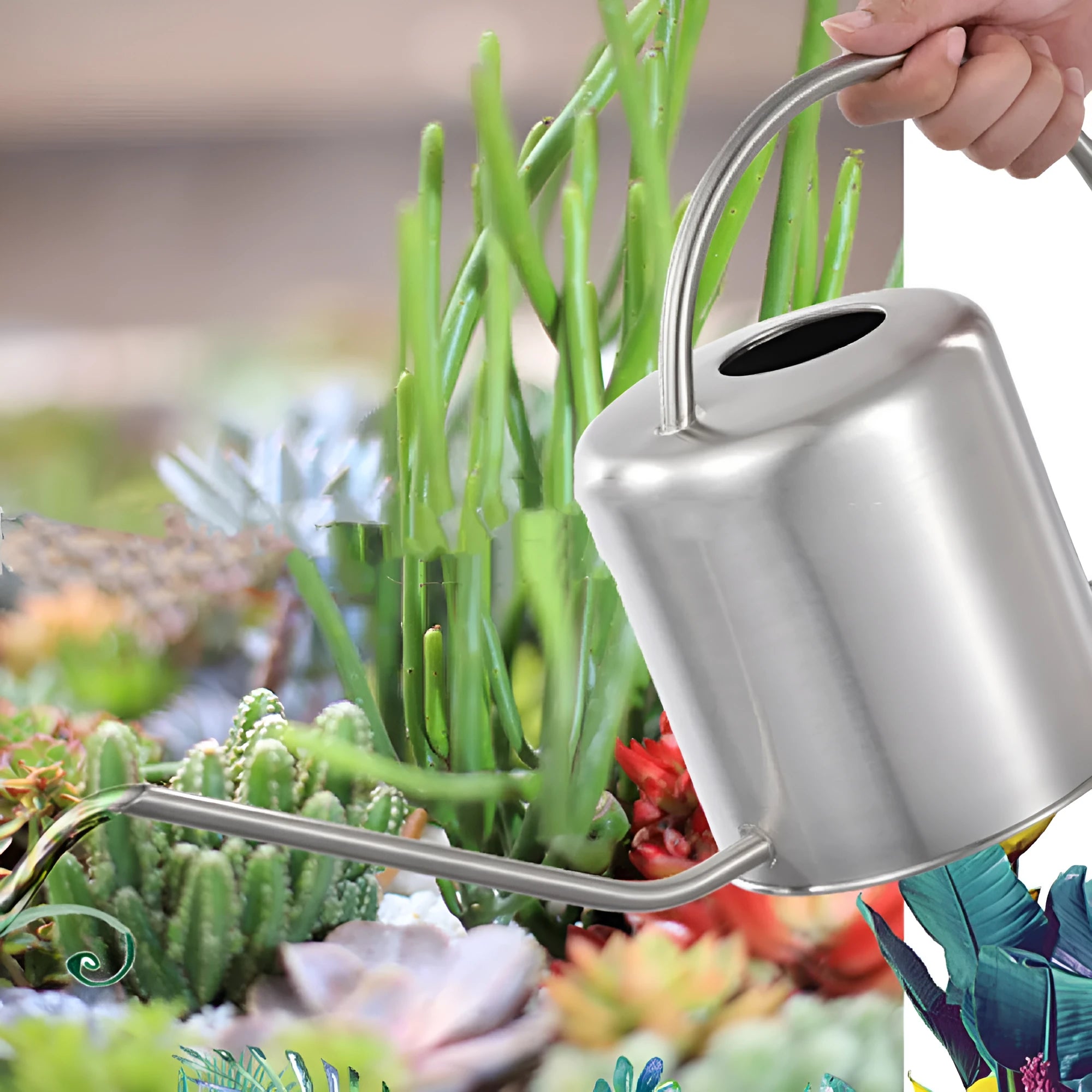 Stainless steel watering can with long spout, 2 litre capacity, shown in black, gold, and steel finishes.