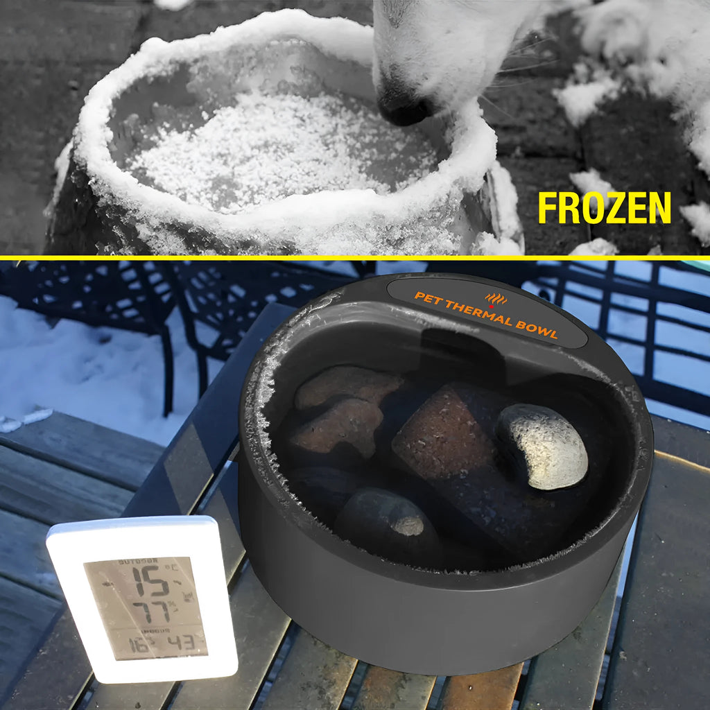 Black ABS plastic pet heating bowl with constant temperature control and 2.2L capacity