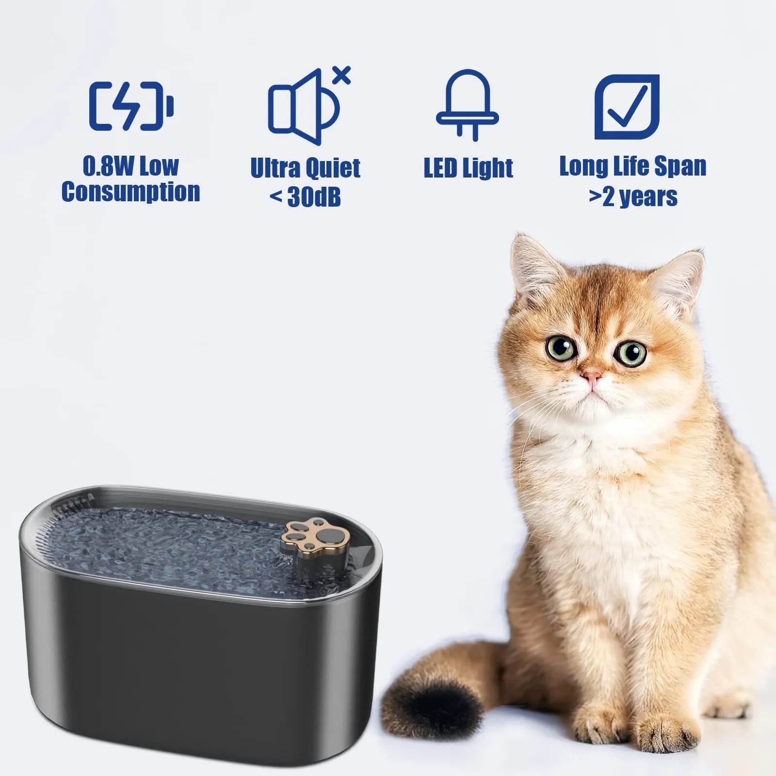 Berlin blue automatic pet water fountain with LED light on a 3-litre BPA-free plastic base
