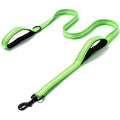 Reflective double-thickened nylon dog leash in 2.5cm width, available in multiple colours on a plain background