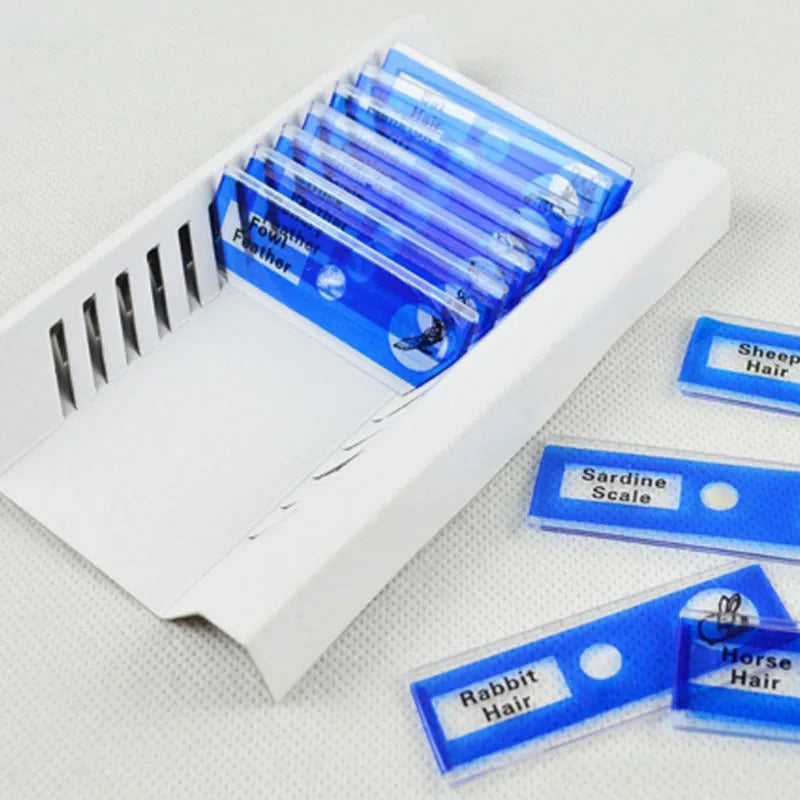 Set of 48 colour-coded plastic microscope slides for children's biology education