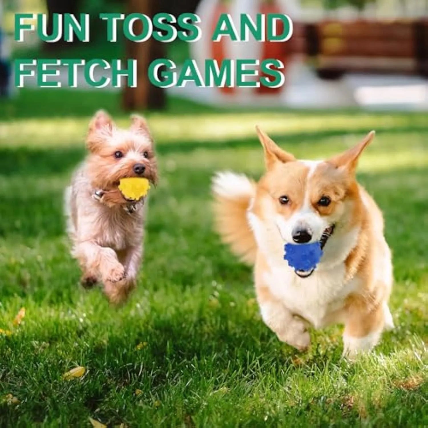 Blue, green, pink, and yellow 2-inch dog balls with spiked dimple texture on grass.
