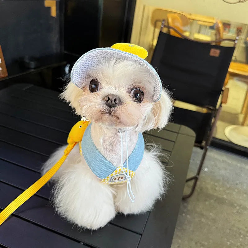Dog wearing harness and leash with wire rope, cat clothes outfit with hat, three-piece pet set