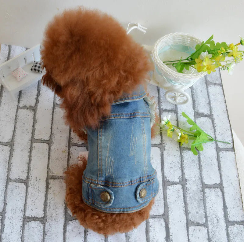 Dark denim dog vest with a retro scratch pattern print on the front, modelled on a small dog.