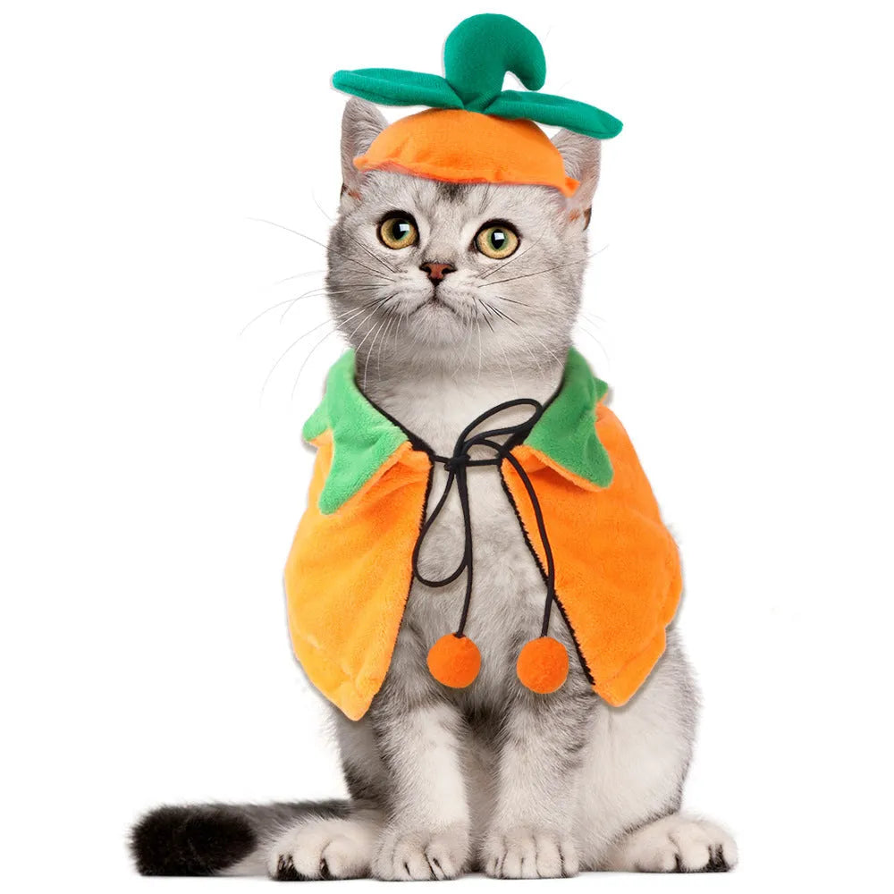 Reversible Halloween pumpkin pet cloak showing two pattern sides, plush material, S M L sizes