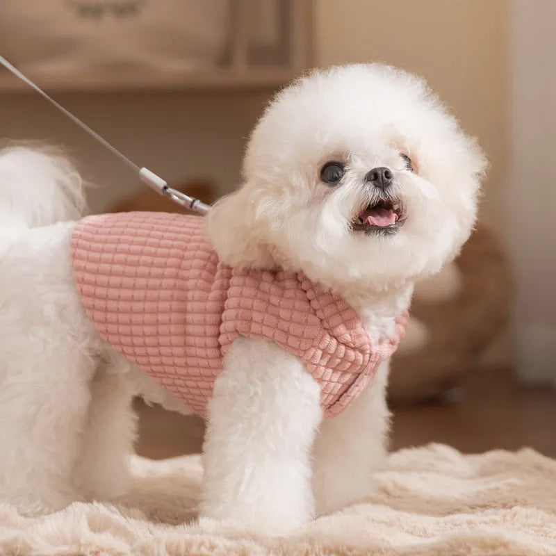 Pink checked corduroy dog vest with metal leash ring and bear tag for small medium dogs