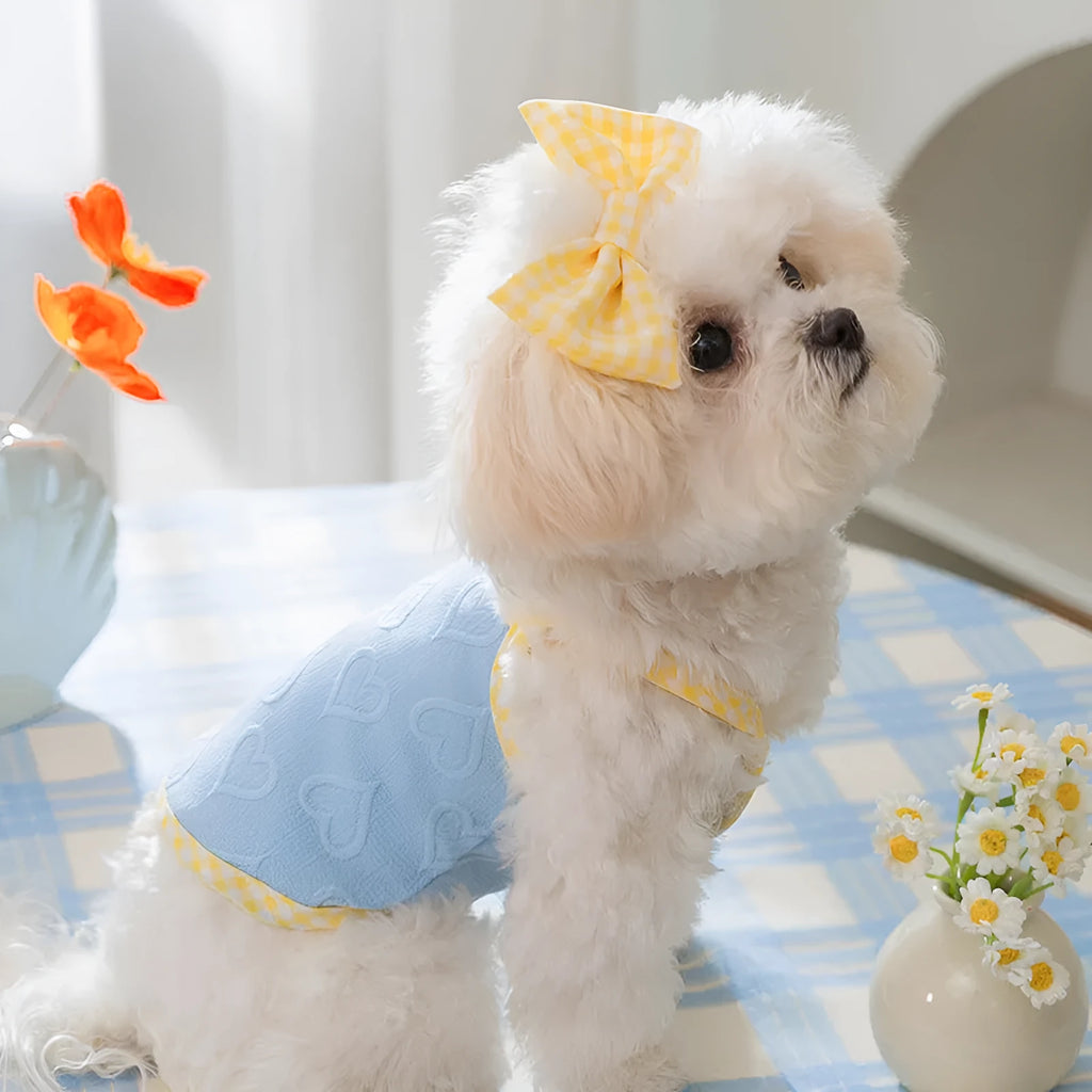 Small dog wearing elastic vest with heart texture and bow suspenders in Bondi Blue colour