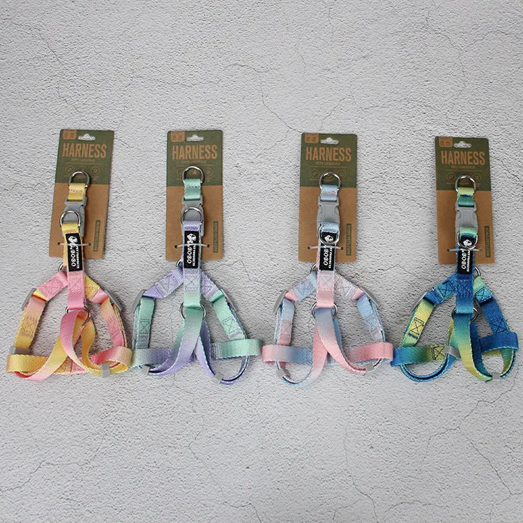 Gradient colour nylon dog leash set with collar and chest back harness options on a small dog.