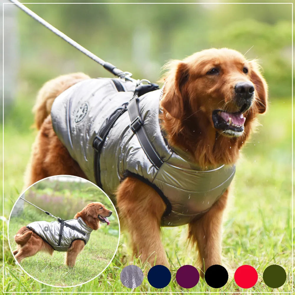 Waterproof dog coat with harness opening in red colour on large breed dog