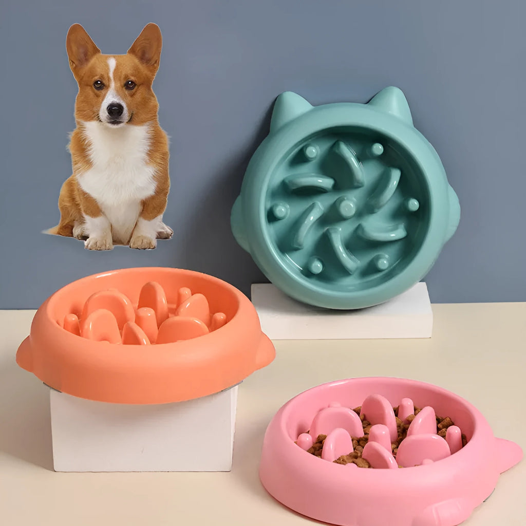 Green pet slow feeder bowl with raised internal ridges to slow eating for dogs and cats.