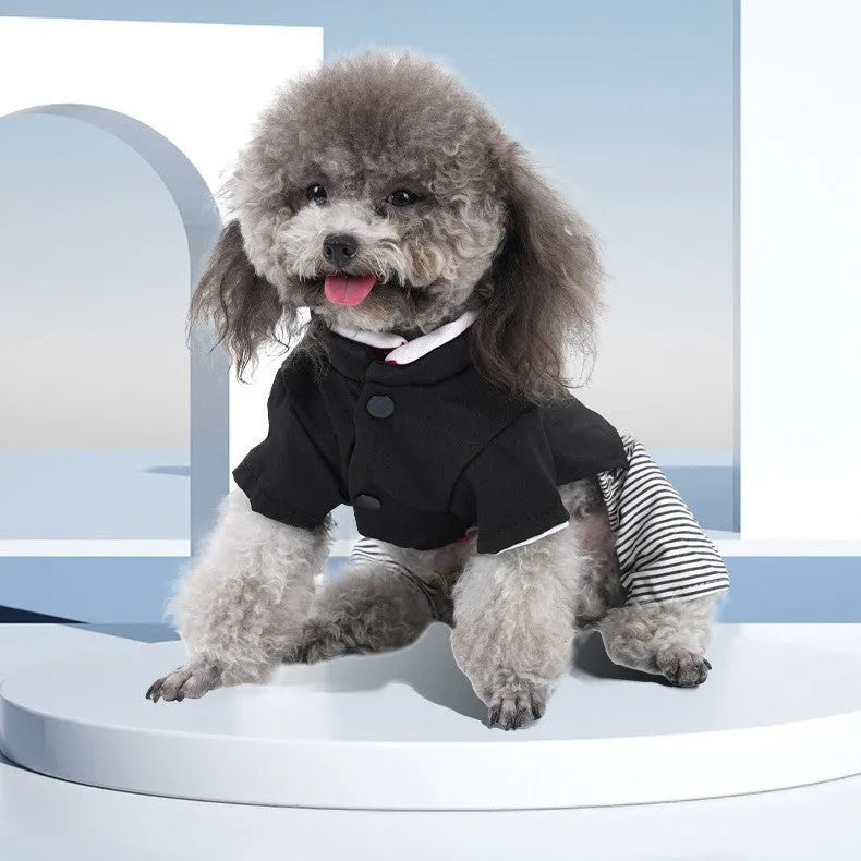 Cotton poodle dog clothes in skirt and four-legged trouser styles for spring, autumn, summer