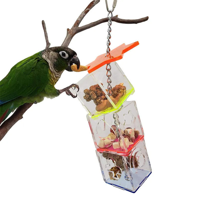 Clear acrylic bird foraging toy measuring 5cm by 5cm by 32cm for parrot education and food containment
