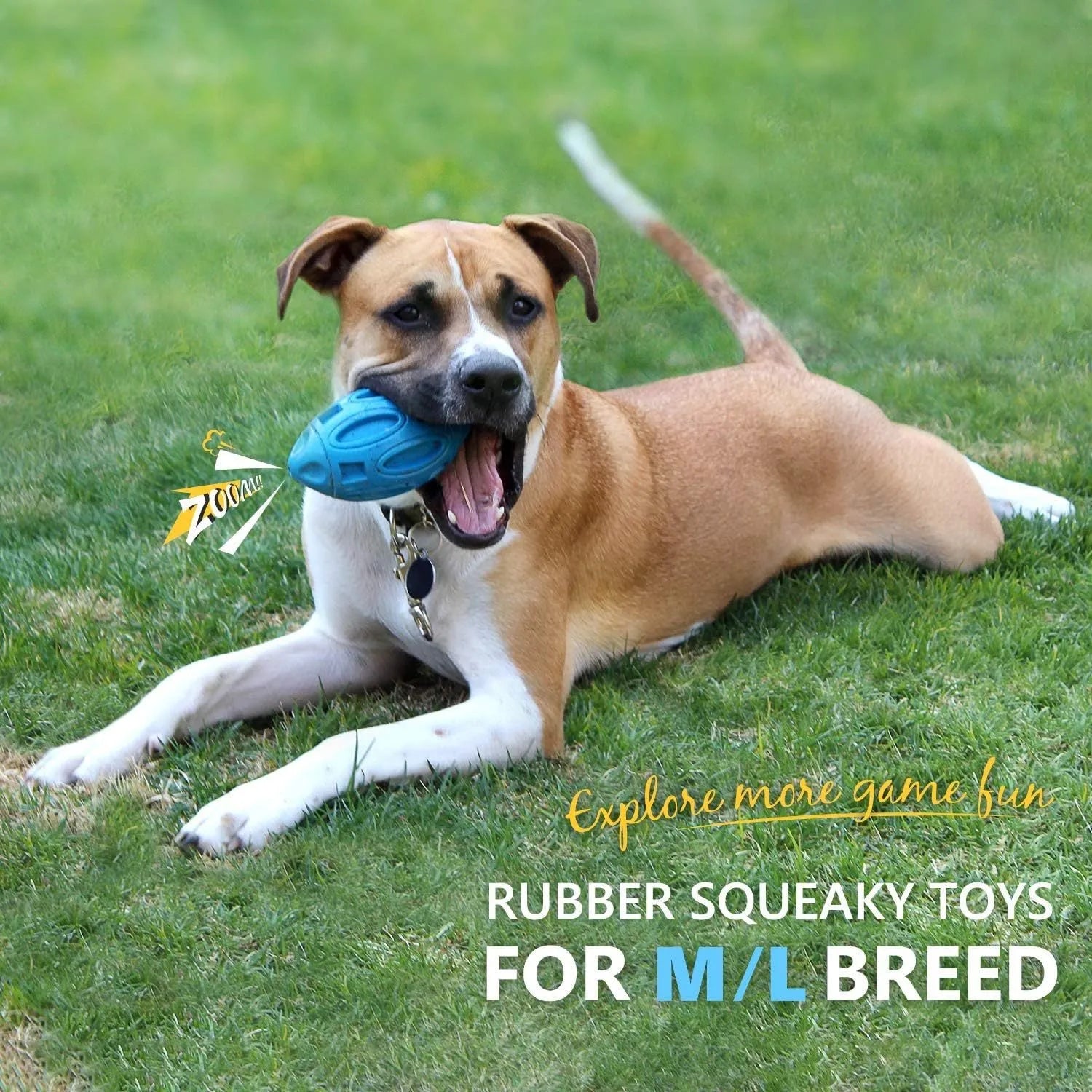Natural rubber squeaky dog chew toy for aggressive chewers in blue, green and orange colour options