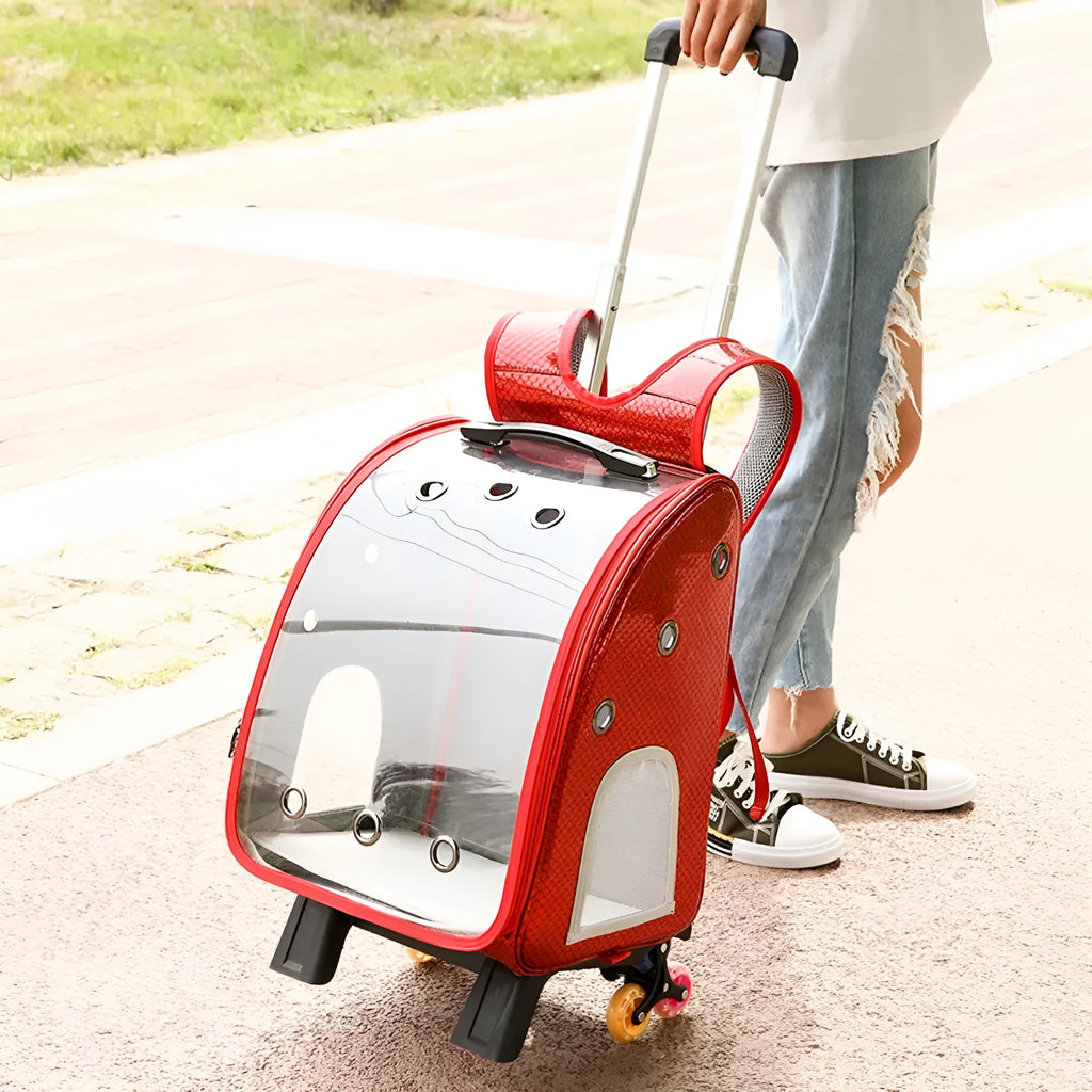 Transparent folding pet carrier bag for small dogs and cats with shoulder strap