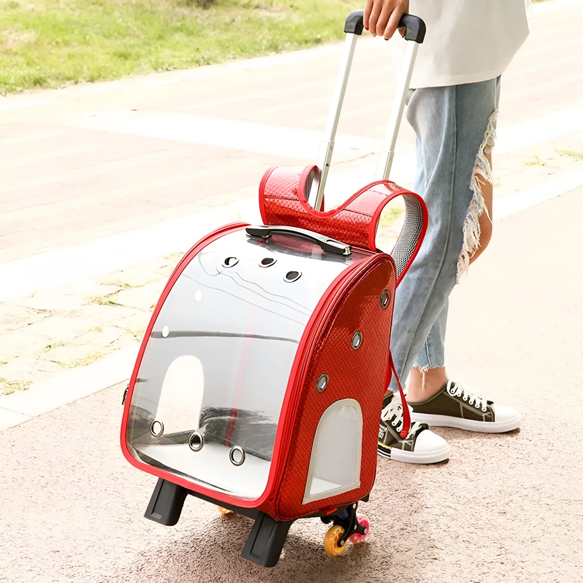 Transparent folding pet carrier bag for small dogs and cats with shoulder strap