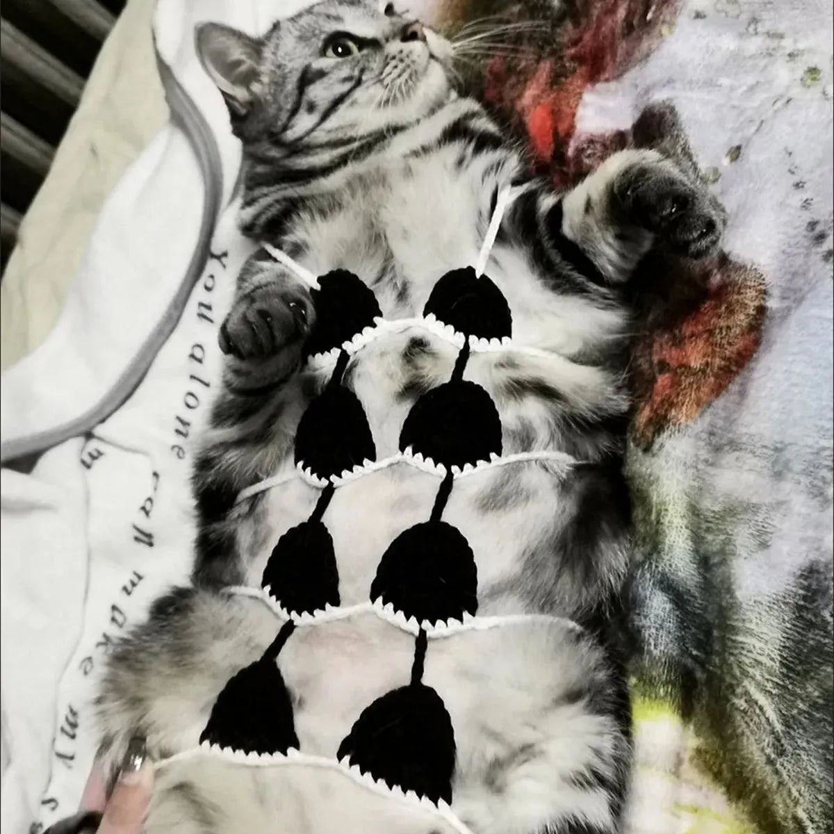 Cat wearing two-piece bikini costume in choice of five colours for pet parties
