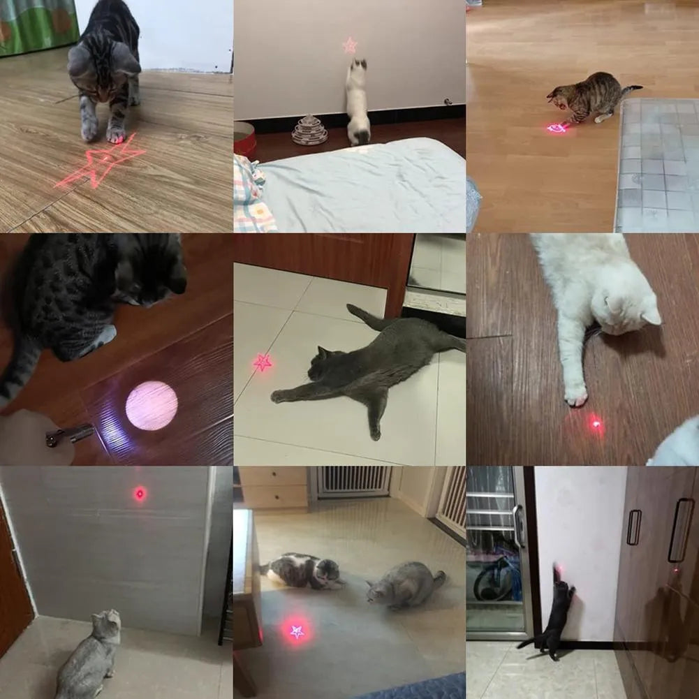 Pink and black USB rechargeable cat infrared teaser toy with keychain attachment