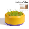 Hydroponic cat grass growing kit with blue cup and wheatgrass seeds for indoor pet enrichment.