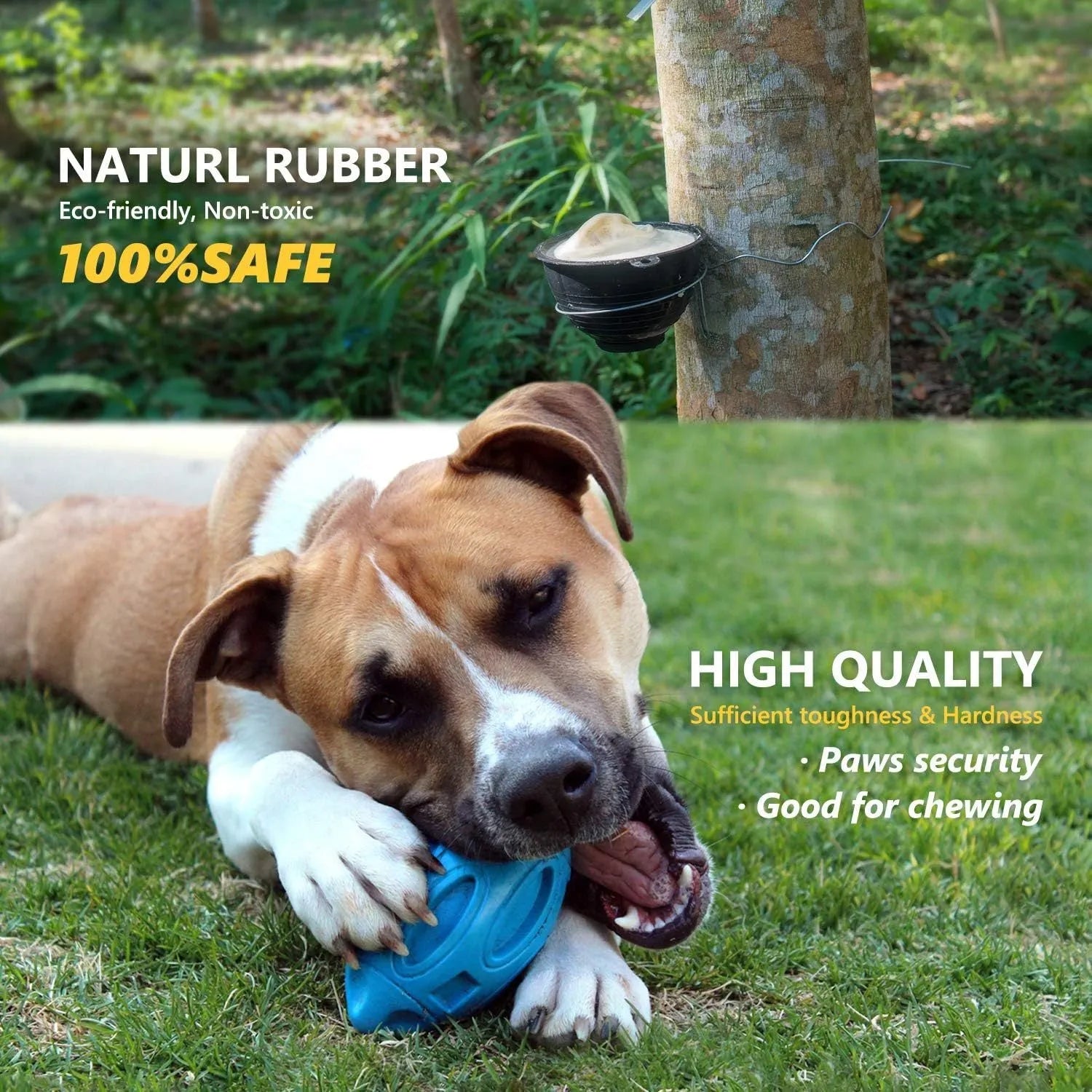 Natural rubber squeaky dog chew toy for aggressive chewers in blue, green and orange colour options