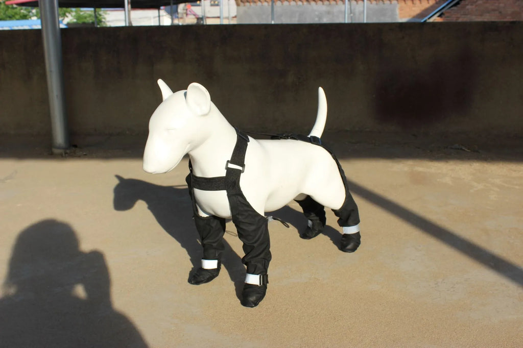 Black waterproof non-slip dog shoes with adjustable strap closure in multiple sizes