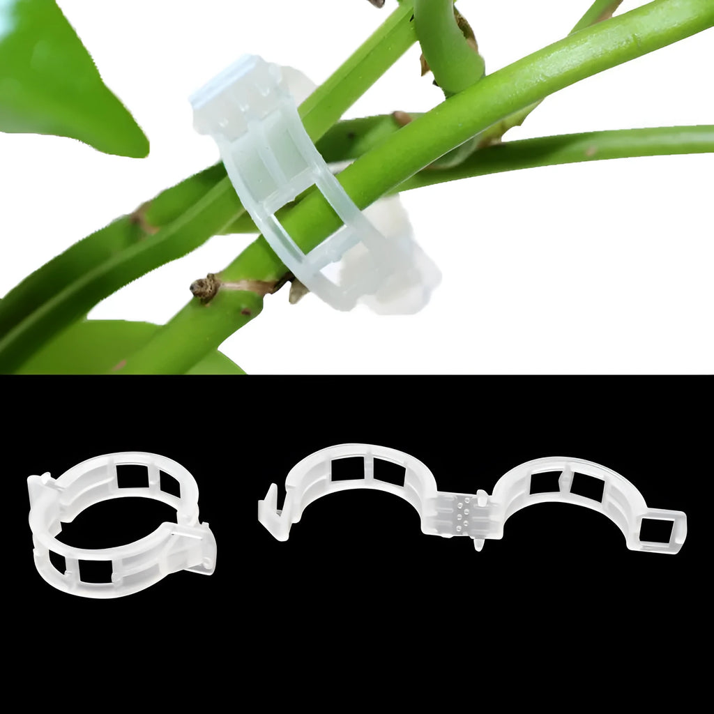 Set of 50 plastic garden plant clips for supporting tomato vines and flower stems.