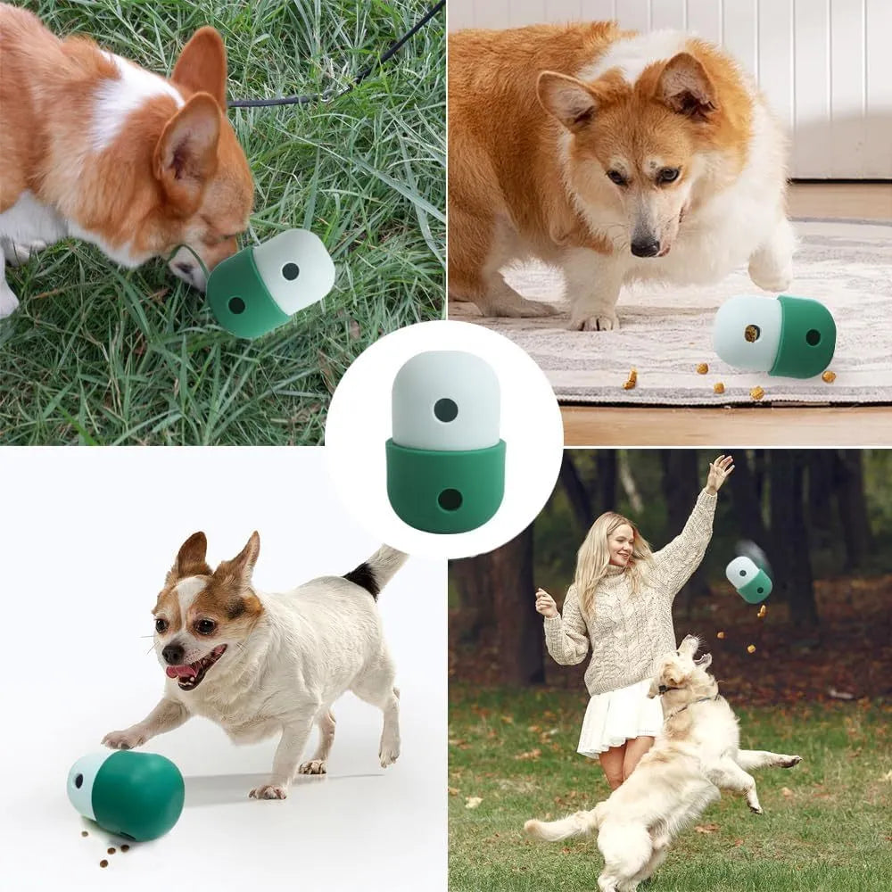 Colourful dog treat dispensing puzzle ball on a green background