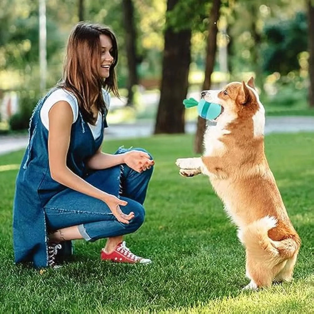 Blue and green durable rubber interactive treat dispensing tumbler ball dog toy