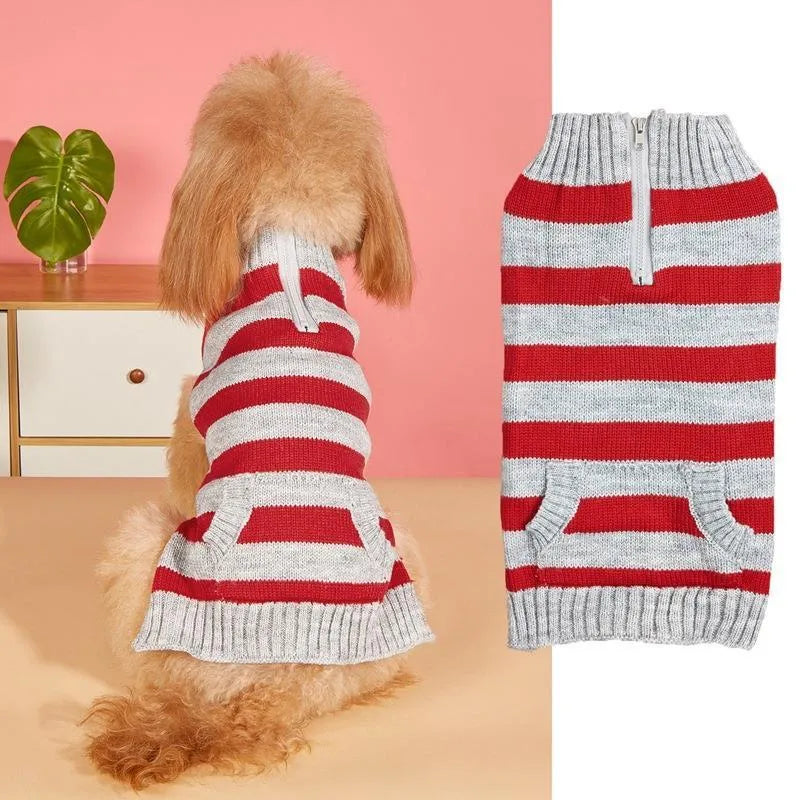 Small dog wearing a grey sweater with a horizontal blue zipper pocket on the side.