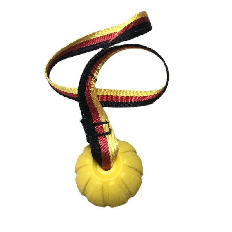 EVA floating dog training ball in camouflage colour and yellow, shown in 65mm, 7cm, and 9cm diameter sizes.