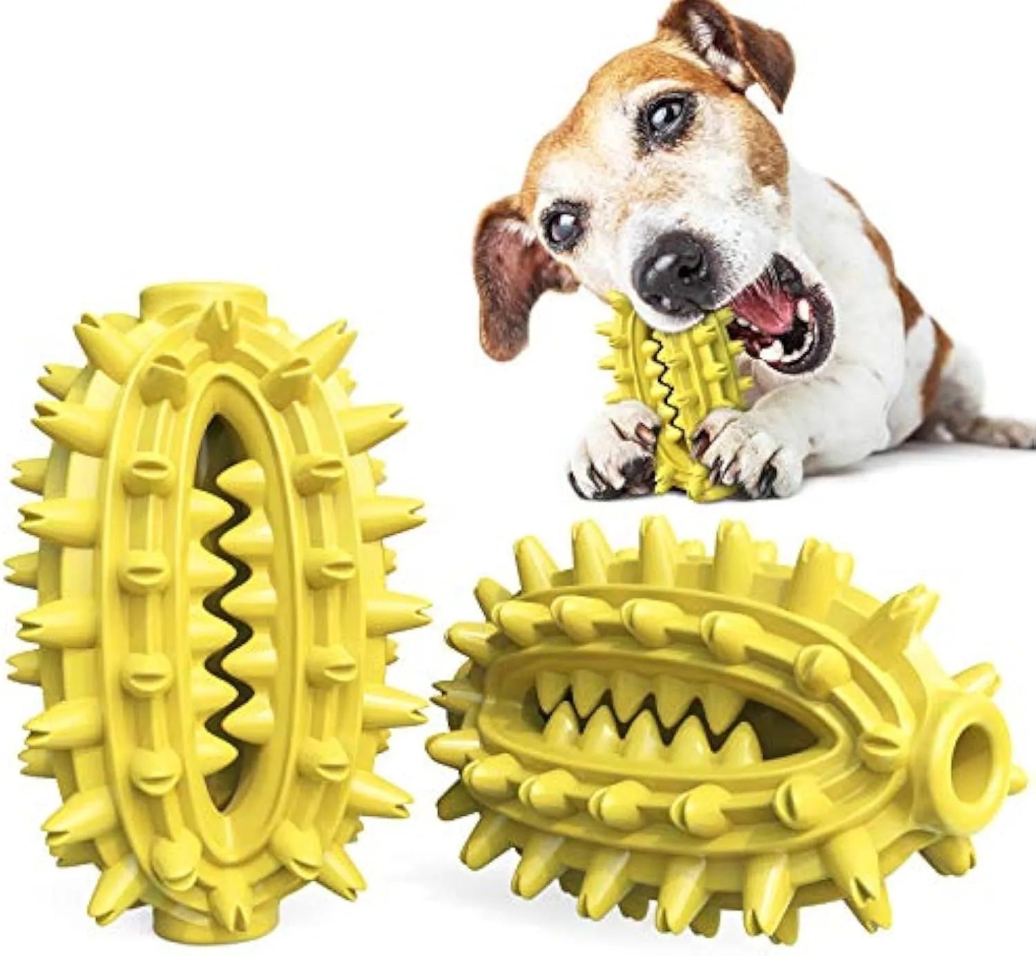 Green cactus-shaped dog toothbrush toy for dental cleaning with central treat channel