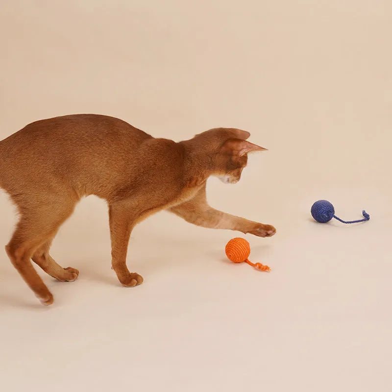 Blue and green cat toy set with a teaser stick and a catnip ball on a white background.