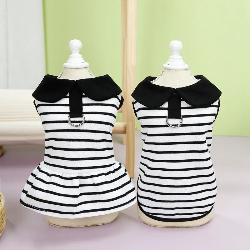 Cotton striped t-shirt and skirt set for pets in summer colours