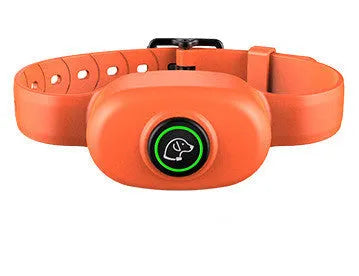 Black and orange remote control dog training collar with rechargeable receiver on a nylon strap.