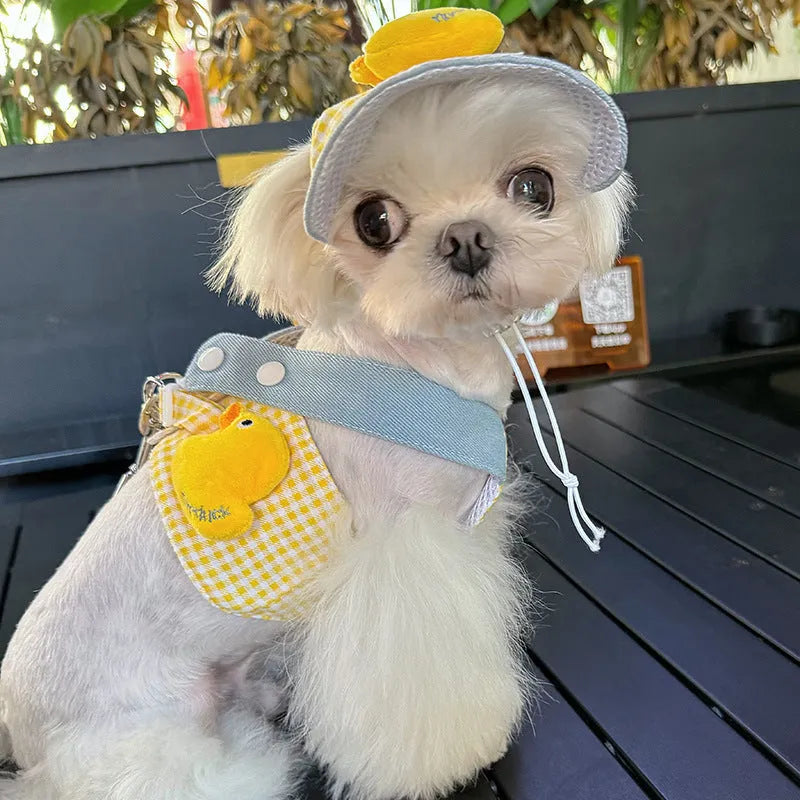 Dog wearing harness and leash with wire rope, cat clothes outfit with hat, three-piece pet set