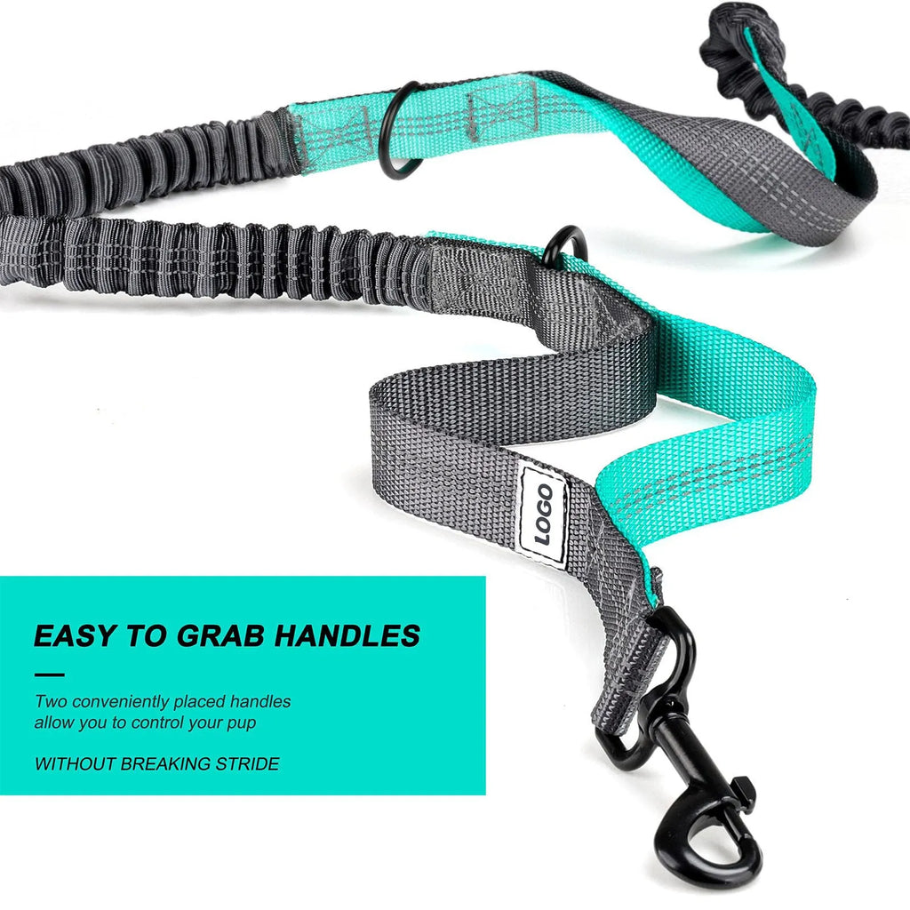 Black nylon dog walking waist bag with integrated leash and collar set for outdoor use