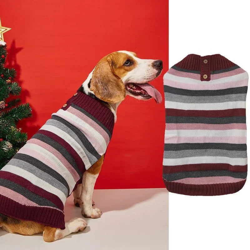 Small dog wearing a grey sweater with a horizontal blue zipper pocket on the side.