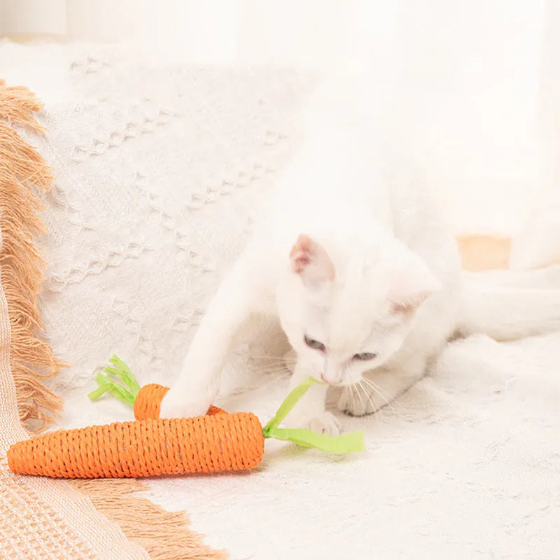 Cat toy collection with carrot bites, paper toys, ringing stones, sticks, and dental grinding sticks