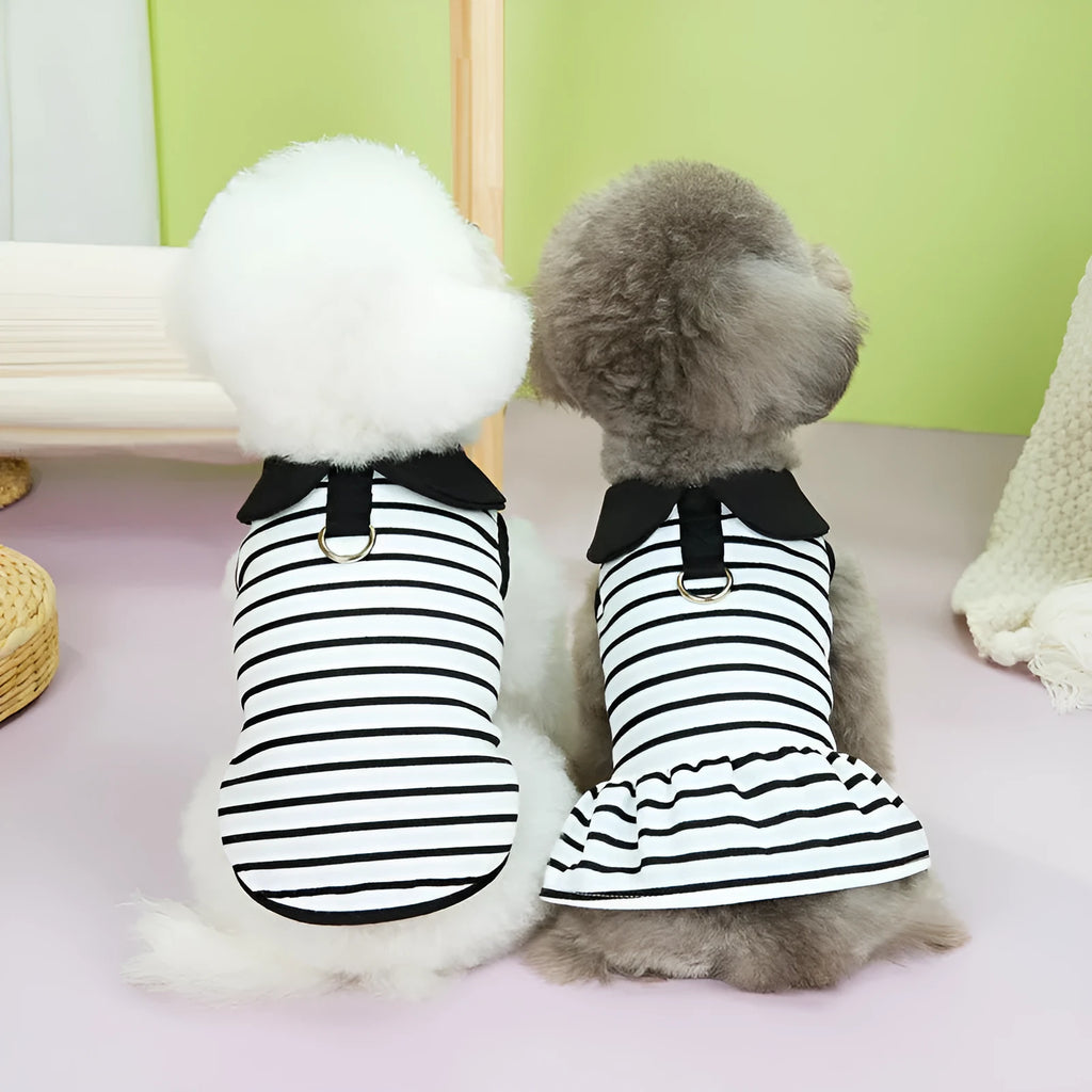 Cotton striped t-shirt and skirt set for pets in summer colours