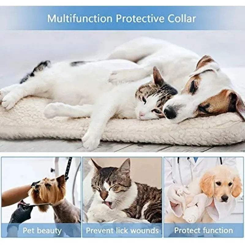 Inflatable soft pet recovery collar in blue with air valve, shown on surface