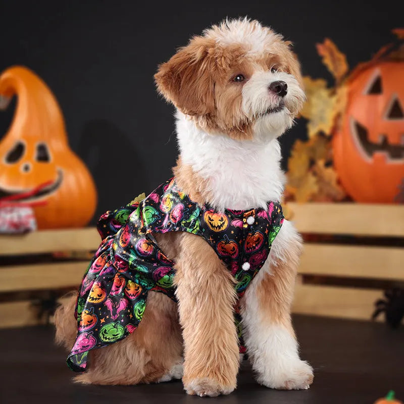 Angel wings Halloween dog costume in bright pumpkin or bat design on dog model