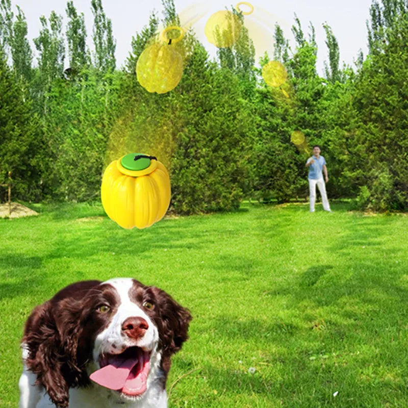 Green, orange, and yellow plastic pumpkin-shaped dog toy ball with squeaker for small dogs.