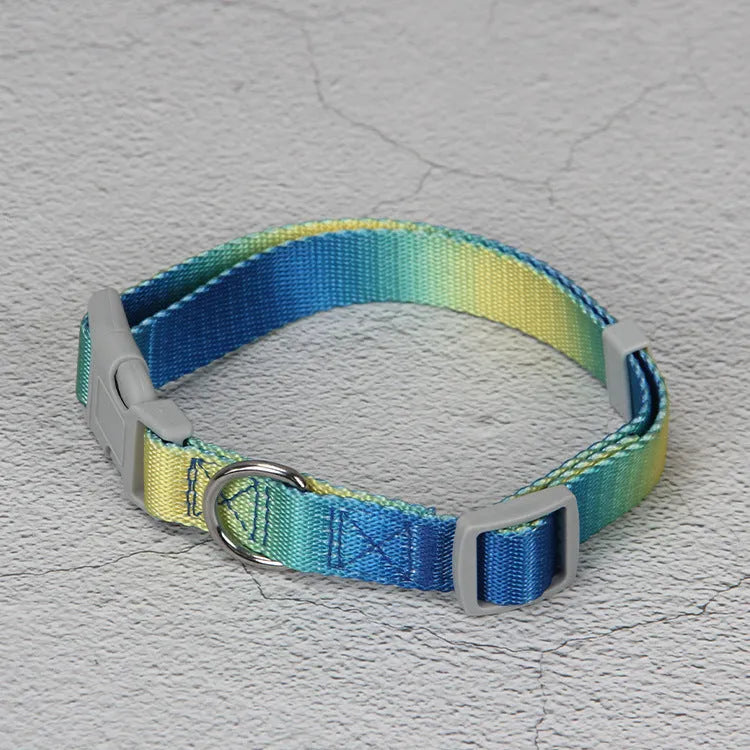 Gradient colour nylon dog leash set with collar and chest back harness options on a small dog.
