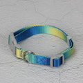 Gradient colour nylon dog leash set with collar and chest back harness options on a small dog.