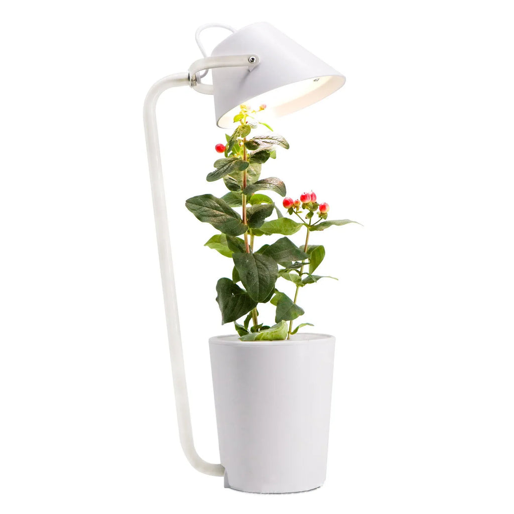 White desktop hydroponic plant growth machine for soilless cultivation