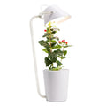 White desktop hydroponic plant growth machine for soilless cultivation