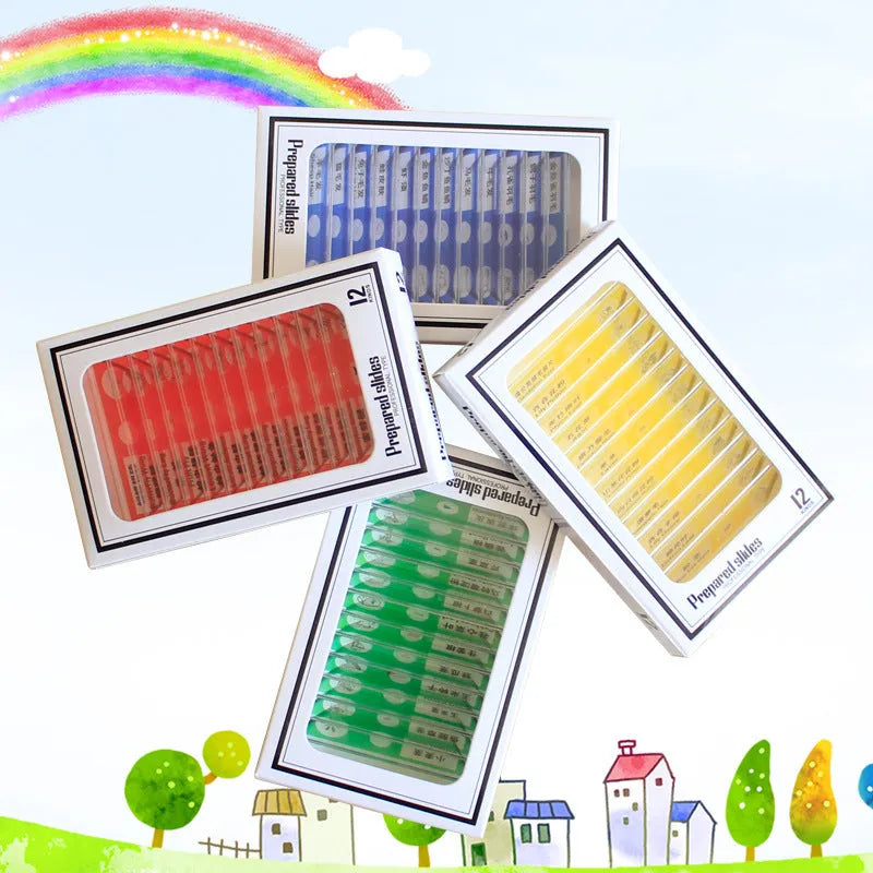 Set of 48 colour-coded plastic microscope slides for children's biology education