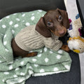 Greige knitted sausage dog sweater for small dogs, winter warm pet clothes, multiple sizes available
