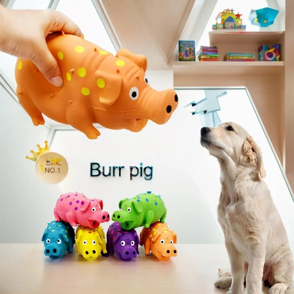 Pig-shaped latex dog chew toy with squeaker in various colours for aggressive chewers