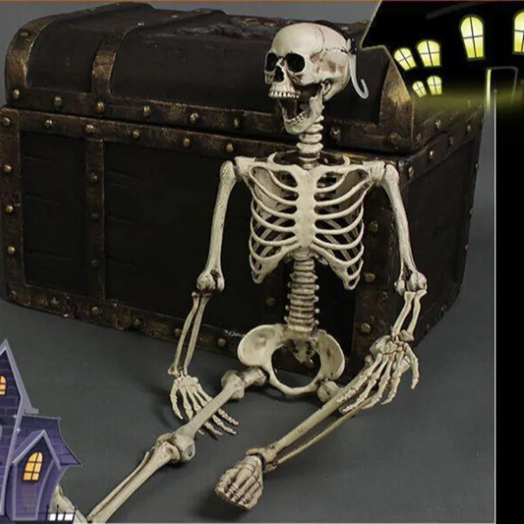 170cm tall plastic skeleton prop with movable jaw for Halloween decorations and educational displays